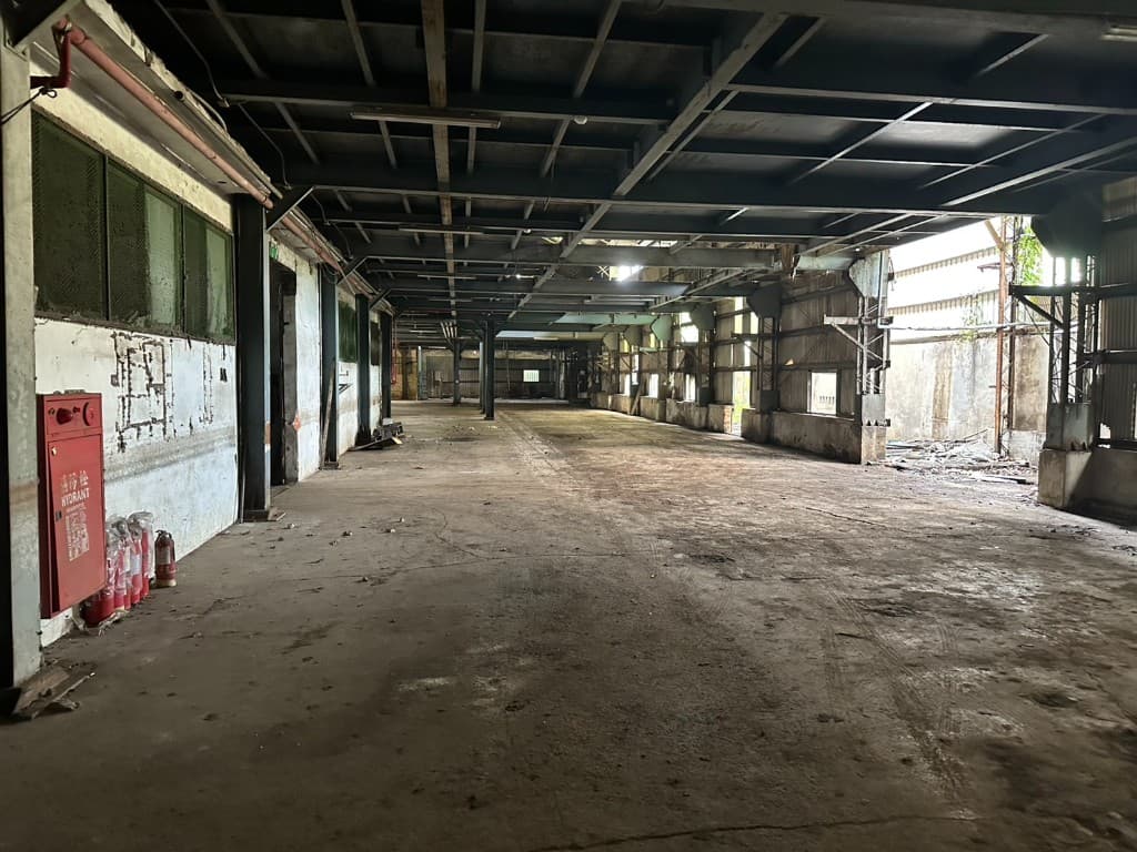 樹林千坪工業地廠房現場照片 2